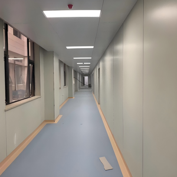 Hospital Wall Protection Panels Material Hospital Wall Panels