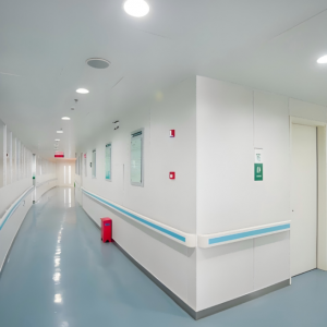Hospital Wall Protection Panels 3Mm Budget Hygienic Wall Cladding Sheet