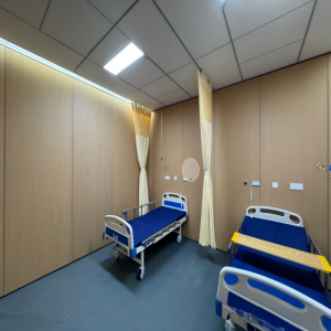 Hospital Wall Protection Panels 3Mm Budget Hygienic Wall Cladding Sheet