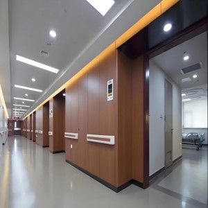 Hospital Wall Protection Panels 3Mm Budget Hygienic Wall Cladding Sheet