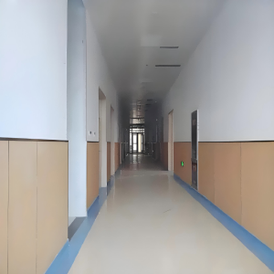 Hospital Wall Protection Panels Material Hospital Wall Panels