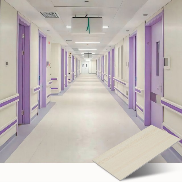 Hospital Wall Protection Panels 3Mm Budget Hygienic Wall Cladding Sheet