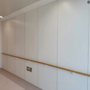 Hospital Wall Protection Panels Material Hospital Wall Panels
